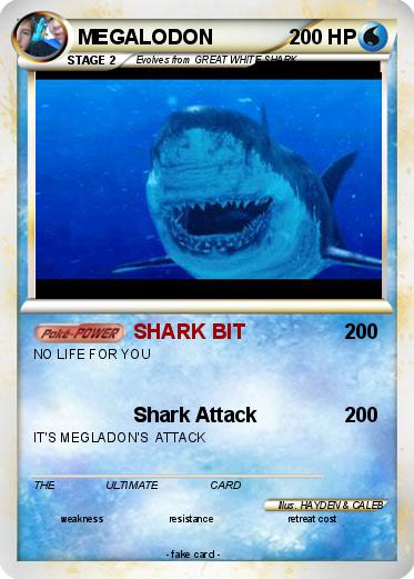 Pokemon MEGALODON