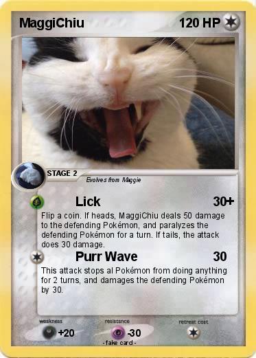 Pokemon MaggiChiu