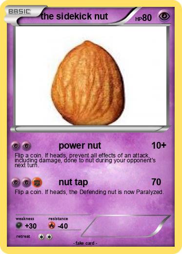 Pokemon the sidekick nut