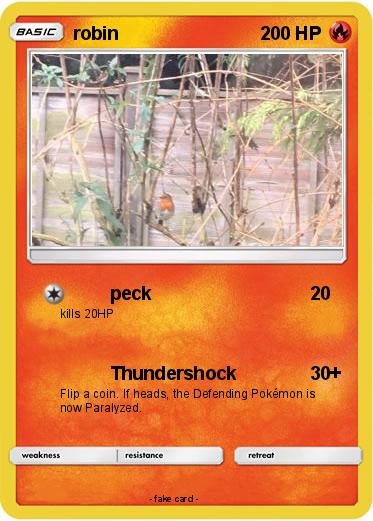 Pokemon robin