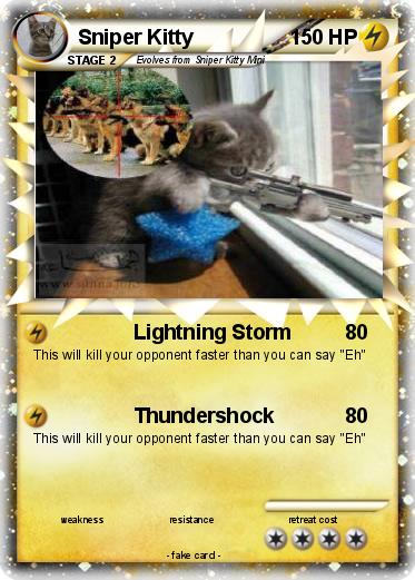 Pokemon Sniper Kitty