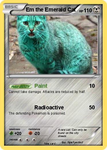 Pokemon Em the Emerald Cat