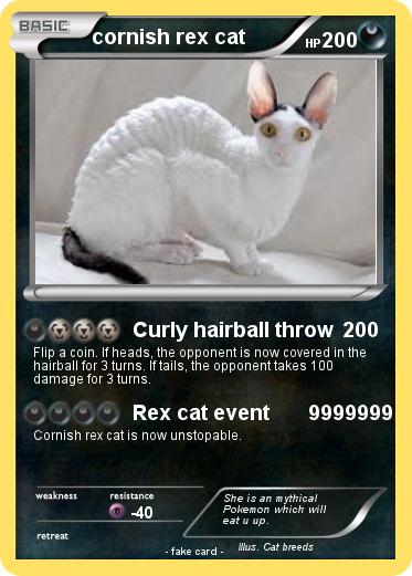 Pokemon cornish rex cat
