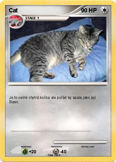 Pokemon Cat