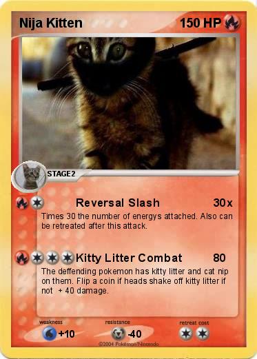 Pokemon Nija Kitten