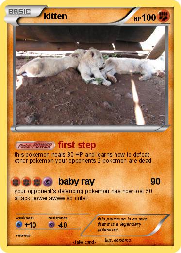 Pokemon kitten