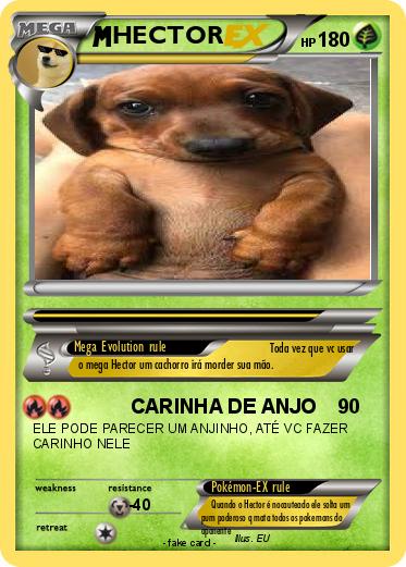 Pokemon HECTOR Pokemon HECTOR