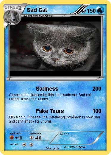 Pokemon Sad Cat