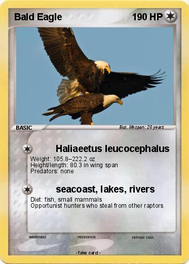Pokemon Bald Eagle