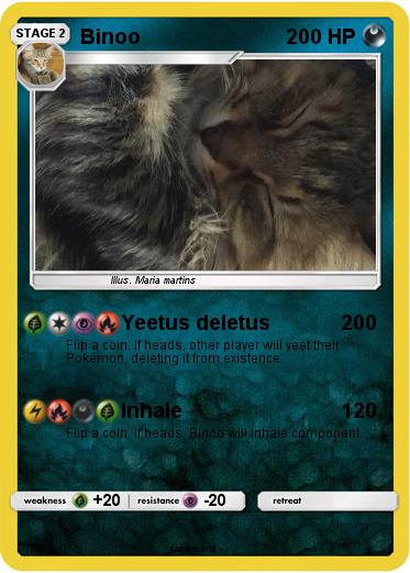 Pokemon Binoo