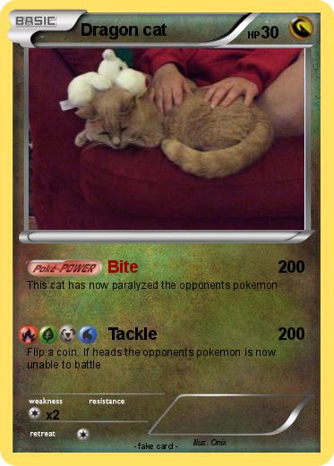 Pokemon Dragon cat