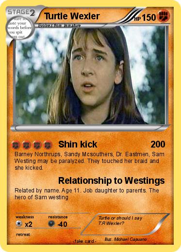 Pokemon Turtle Wexler