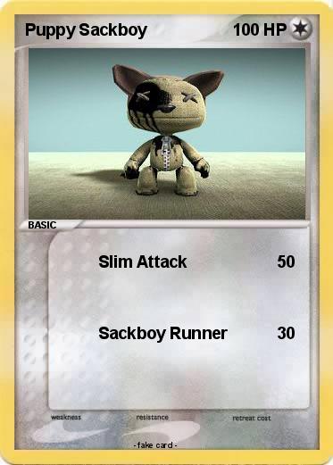 Pokemon Puppy Sackboy