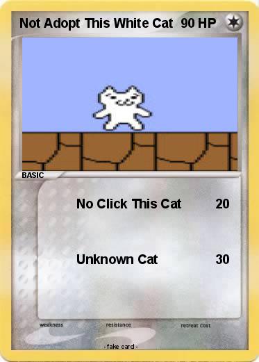 Pokemon Not Adopt This White Cat