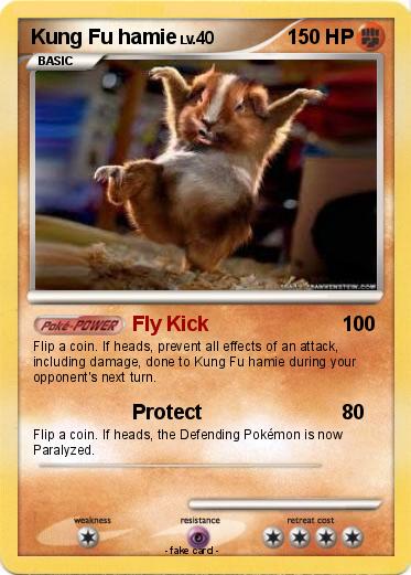 Pokemon Kung Fu hamie
