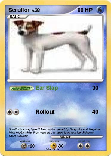 Pokemon Scruffor