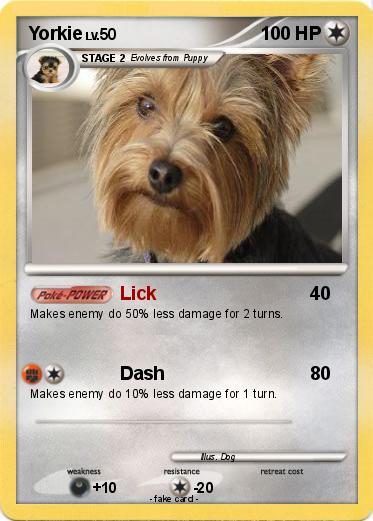 Pokemon Yorkie