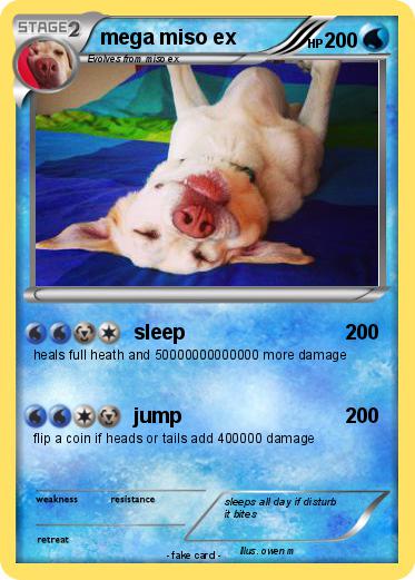 Pokemon mega miso ex