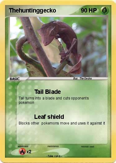 Pokemon Thehuntinggecko