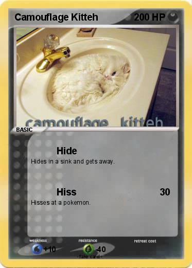 Pokemon Camouflage Kitteh