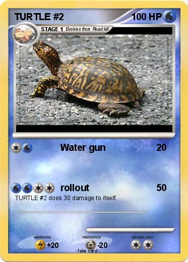 Pokemon TURTLE #2