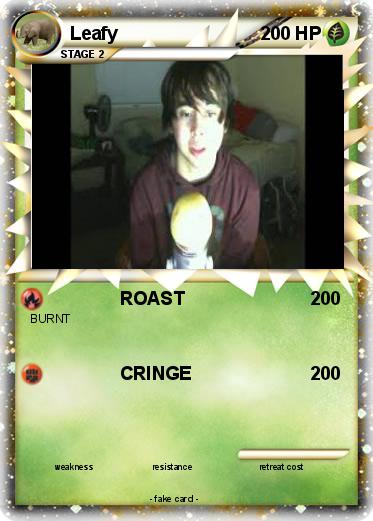 Pokemon Leafy