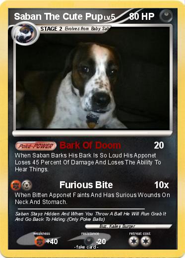 Pokemon Saban The Cute Pup