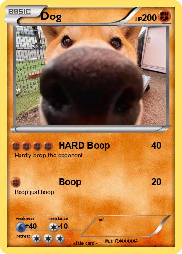 Pokemon Dog