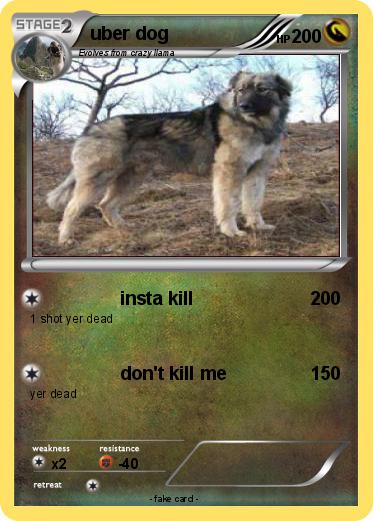 Pokemon uber dog