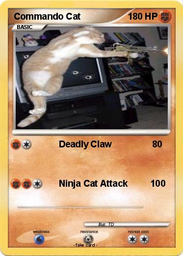Pokemon Commando Cat