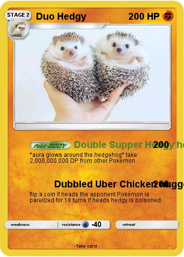 Pokemon Duo Hedgy