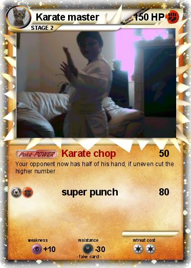 Pokemon Karate master