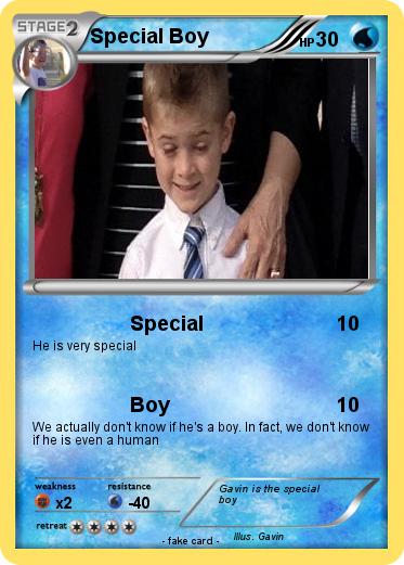 Pokemon Special Boy