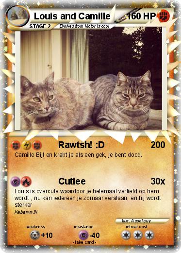 Pokemon Louis and Camille