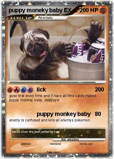Pokemon puppy moneky baby EX