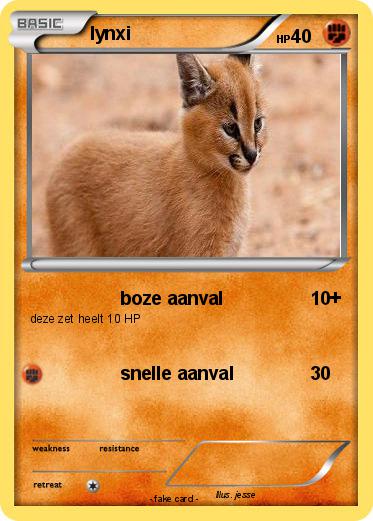 Pokemon lynxi