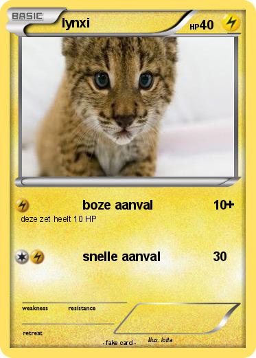 Pokemon lynxi