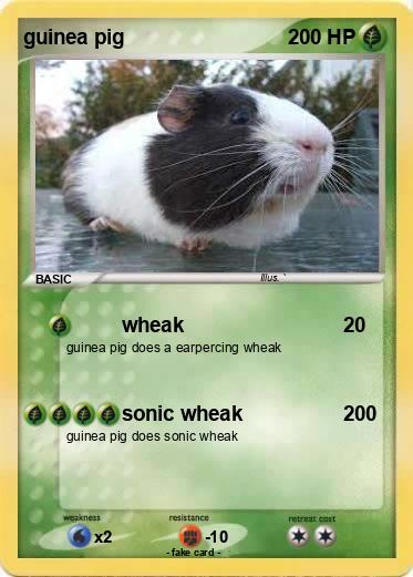 Pokemon guinea pig