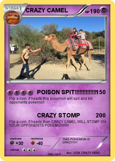 Pokemon CRAZY CAMEL