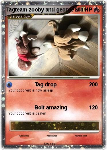 Pokemon Tagteam zooby and george