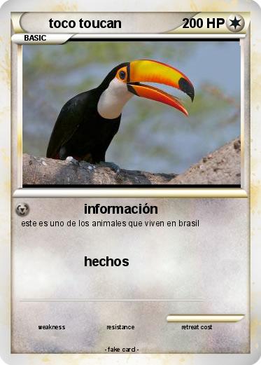 Pokemon toco toucan