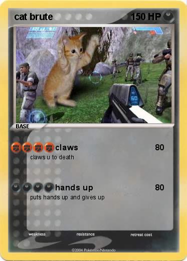 Pokemon cat brute
