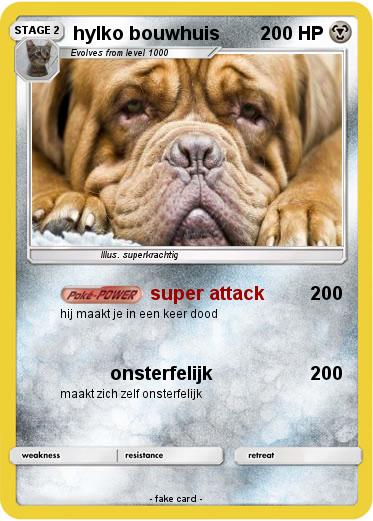 Pokemon hylko bouwhuis