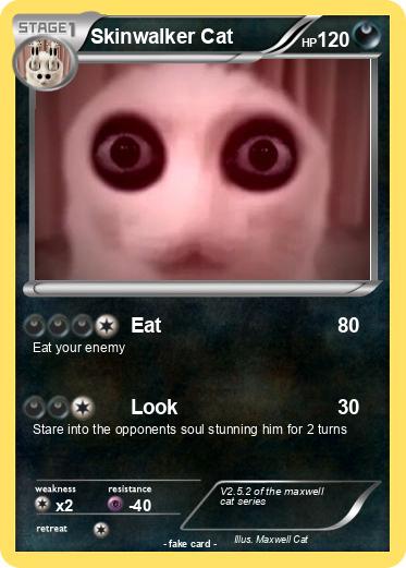 Pokemon Skinwalker Cat