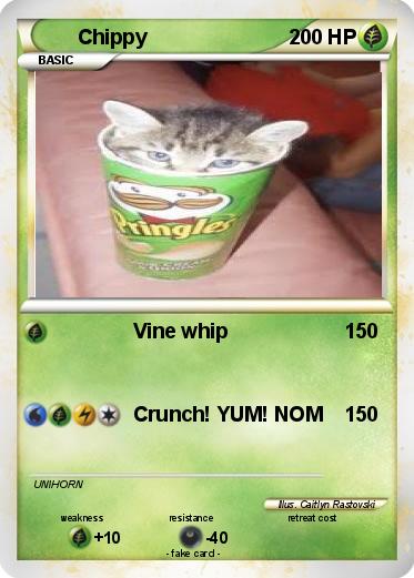 Pokemon Chippy