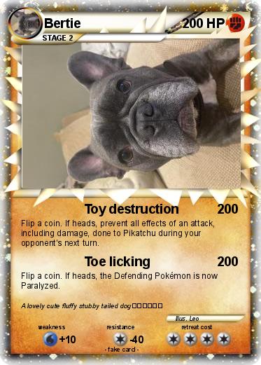Pokemon Bertie