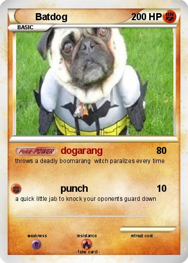 Pokemon Batdog