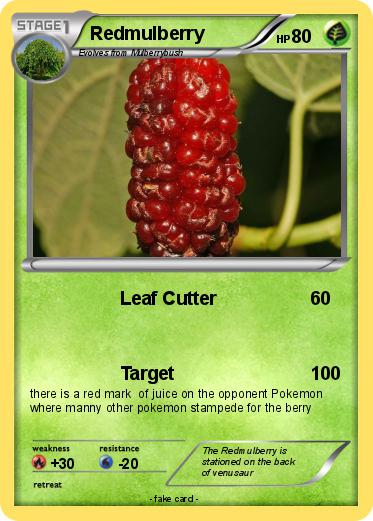 Pokemon Redmulberry