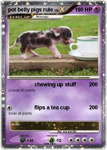 Pokemon pot belly pigs rule