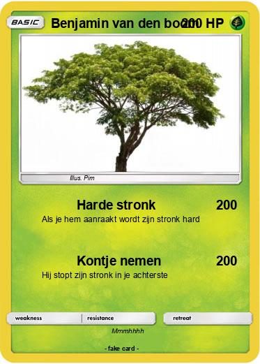 Pokemon Benjamin van den boom